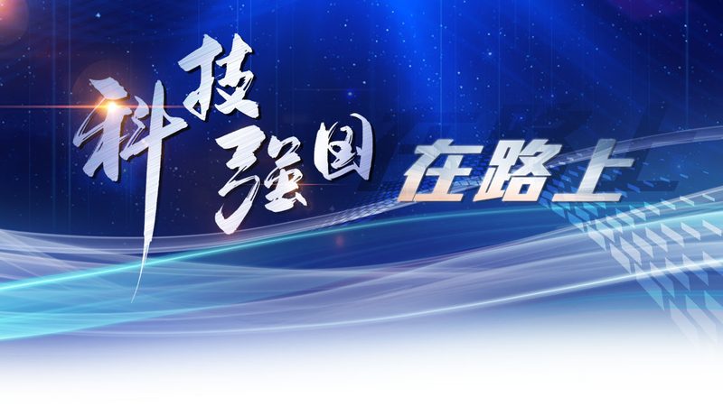 企业IT定制化流程中的关键节点与注意事项