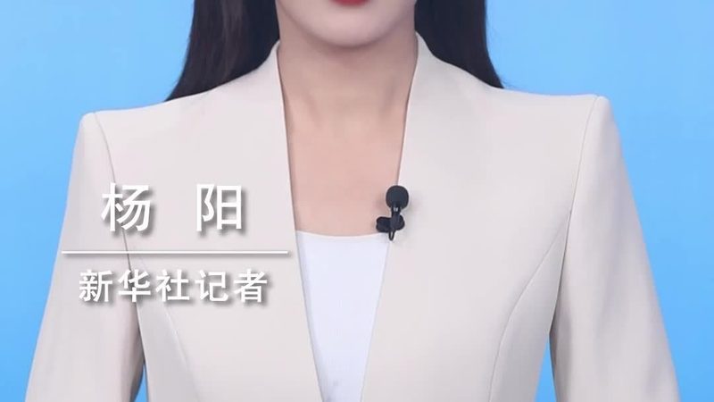 屋顶与地下室的“隐形护甲”：不同防水卷材如何选对